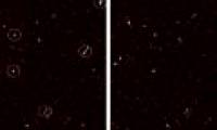 Detecting 9 super black holes facing the same direction