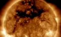 Detecting a giant flower hole in the Sun.