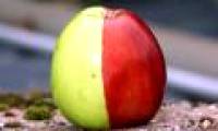 Detecting a 'witch' apple with blue and red colors