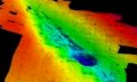 Detecting ancient primeval forest under the sea