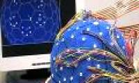Detecting brain cells regulating memory