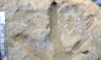 Detecting dinosaur footprint 105 million years ago