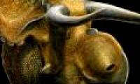 Detecting dinosaurs like bulls
