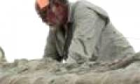 Detecting giant dinosaur tails dating back 72 million years