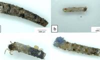 Detecting insects helps people collect plastic waste