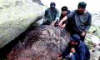 Detecting meteor mass in China