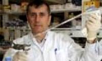 Detecting 'multipurpose' stem cells helps cure many diseases