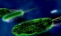 Detecting parasites that cause