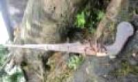 Detecting rare weapons of Phan Dinh Phung insurgents