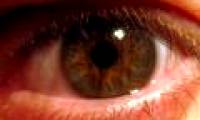 Detecting shock: In the eyes of 1 microbial community exists