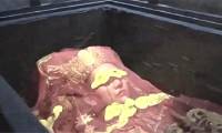 Detecting the body containing a large amount of mercury of Princess Liao Quoc: Who did the cruel act?