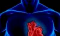 Detecting the gene makes the heart broken