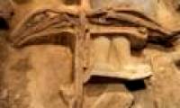 Detecting the precious weapon of Qin Shihuang