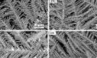 Detecting toxins in food after 10 minutes thanks to nano silver