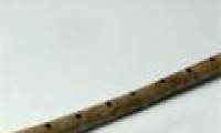 Detection of 9,000-year-old super neck flute