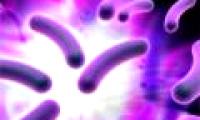 Detection of bacteria 'eat' electrons