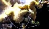 Detection of bacteria that can regulate climate