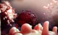 Detection of drugs that prevent HIV from reproducing in cells