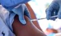 Detection of Ebola virus shield in human cells