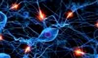 Detection of FAP proteins related to cancer