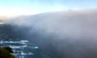 Detection of fog containing heavy metals
