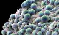 Detection of genes capable of controlling cancer cells