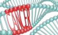 Detection of new breast cancer gene