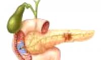 Detection of proteins related to pancreatic cancer