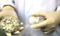 Detection of wound healing of collagen in fish scales