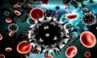 Detects antibodies that neutralize HIV virus