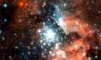 Determined the distribution of dark matter in the universe
