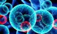 Develop nanotechnology to kill cancer cells