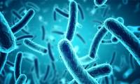Developing new synthetic antibiotics that can kill even drug-resistant bacteria.
