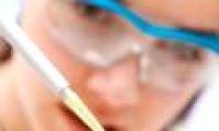 Development of kidney tissue from stem cells