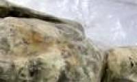 Diagnosis of mummies