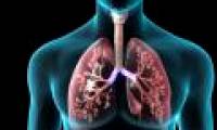 Difference between lungs of healthy people and smokers 20 years