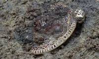 Digging up an ancient tomb, a male student found a 'treasure' worth billions of dong