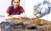Dinosaur skull intact in Canada