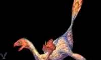 Dinosaurs also suffer from osteoarthritis
