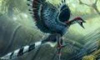 Dinosaurs happened to fly when 'posing'