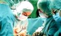 Disaster of the HIV-infected organ transplant for 5 patients