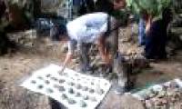 Discover a cave of primitive inhabitants
