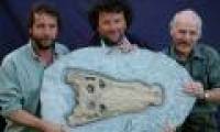 Discover a new crocodile species