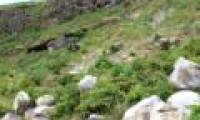 Discover ancient stone exploitation site to build Nha Ho citadel