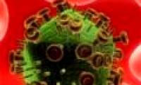Discover evidence related to the ability of HIV virus to regenerate