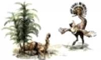 Discover fossil dinosaur couple