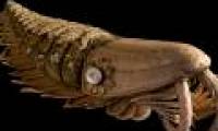 Discover giant shrimp fossils, razor-sharp teeth