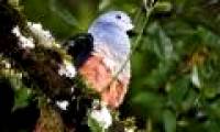 Discover many new creatures