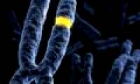 Discover new factors that determine the weight of babies