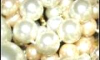 Discover pearl secrets